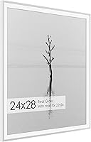 Vista 455 de Fun Memories Portarretratos de metal de 16 x 20 pulgadas con paspartú de 11 x 14 pulgadas, acabado de aluminio cepillado, parte delantera de vidrio