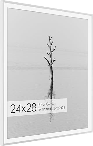 Miniatura 455 de Fun Memories Portarretratos de metal de 16 x 20 pulgadas con paspartú de 11 x 14 pulgadas, acabado de aluminio cepillado, parte delantera de vidrio