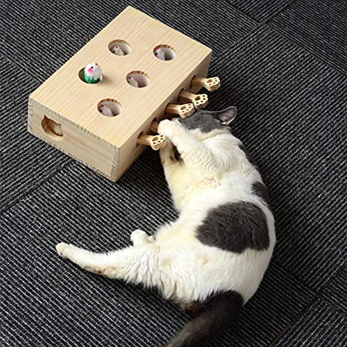 きー　おもしれー猫 セット LivHeart 抱き枕 ぬいぐるみ 抱きまくら 猫 ねこ ふわふわ ねこ