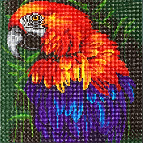Tableau Broderie Diamant Perroquet 30x30cm - Kit Loisirs Créatifs