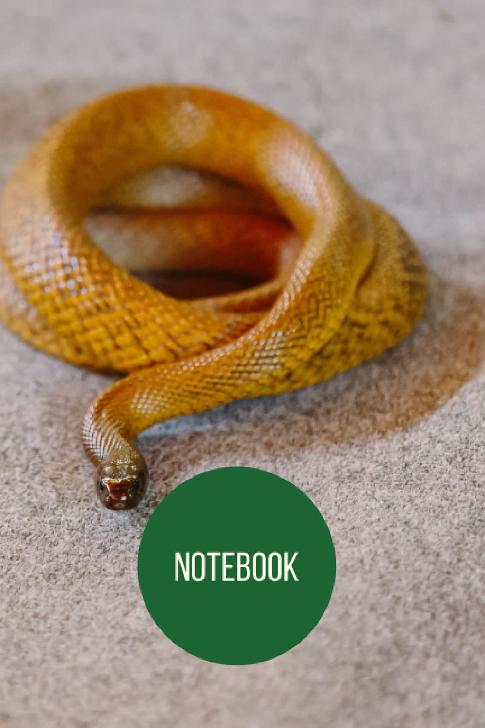 Inland Taipan Notebook: blank lined composition journal | Inland Taipan notebook | 100 pages