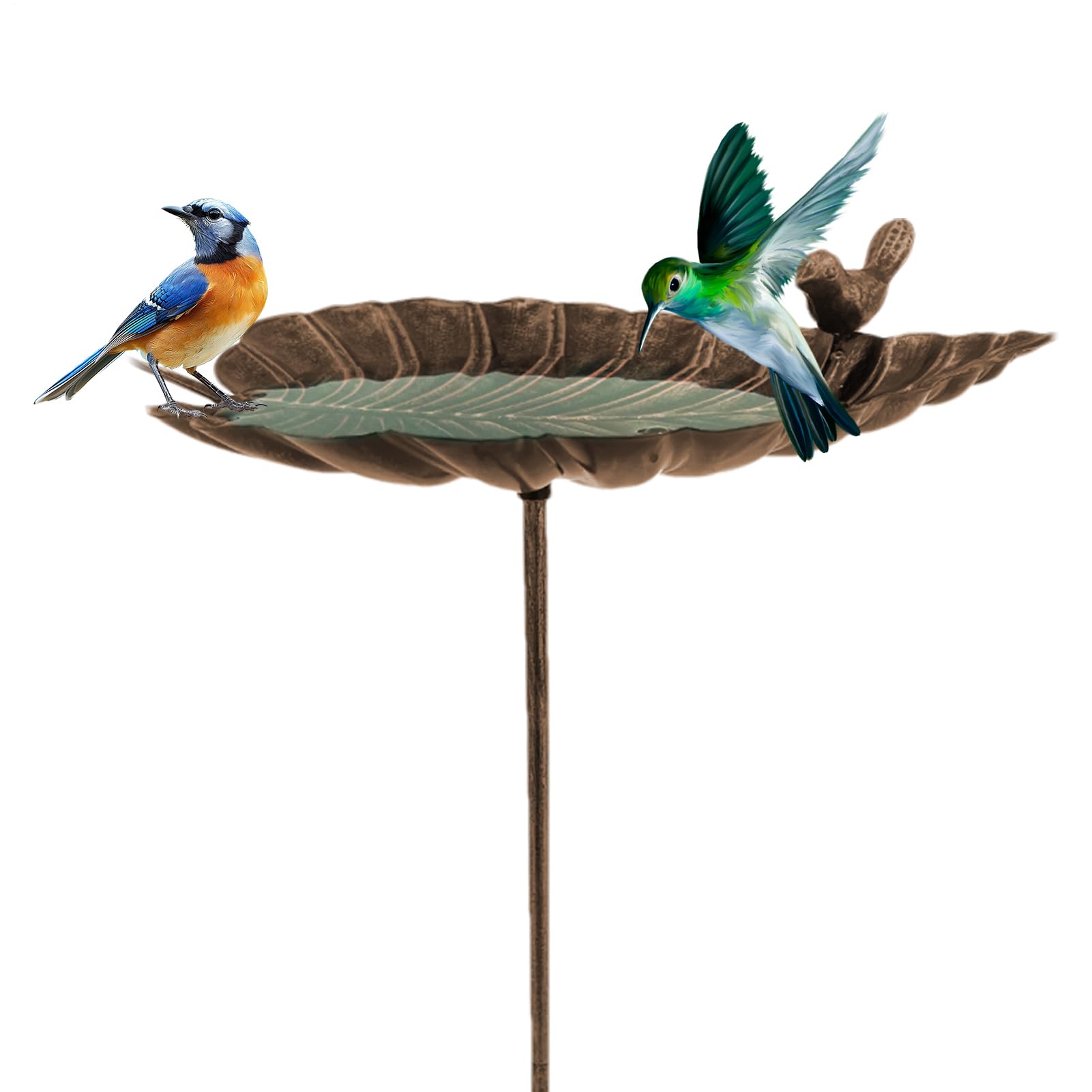 Baignoire d'oiseaux en plein air résistante aux intempéries pour petits oiseaux