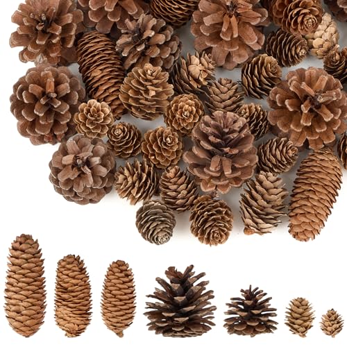 40 Pcs Pine Cone Decorations, Natural Pine Cones Bulk - Large, Medium and Mini Sizes Ornaments for Crafts, Wreath, Christmas Trees, Table Decor and Winter Vase Filler