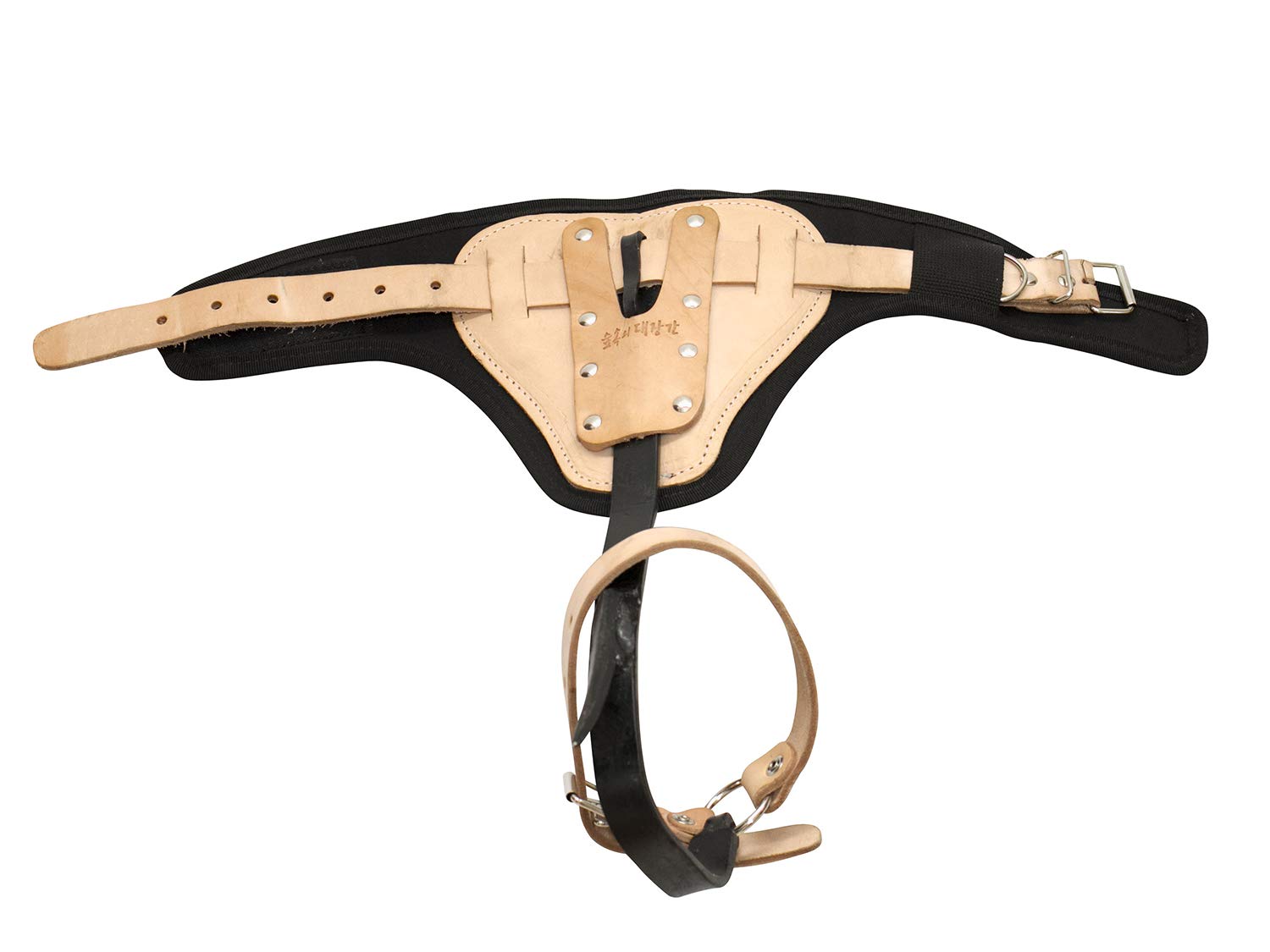 Buy DH corp Tree Climbing Spikes and spur Set, Premium Arborist