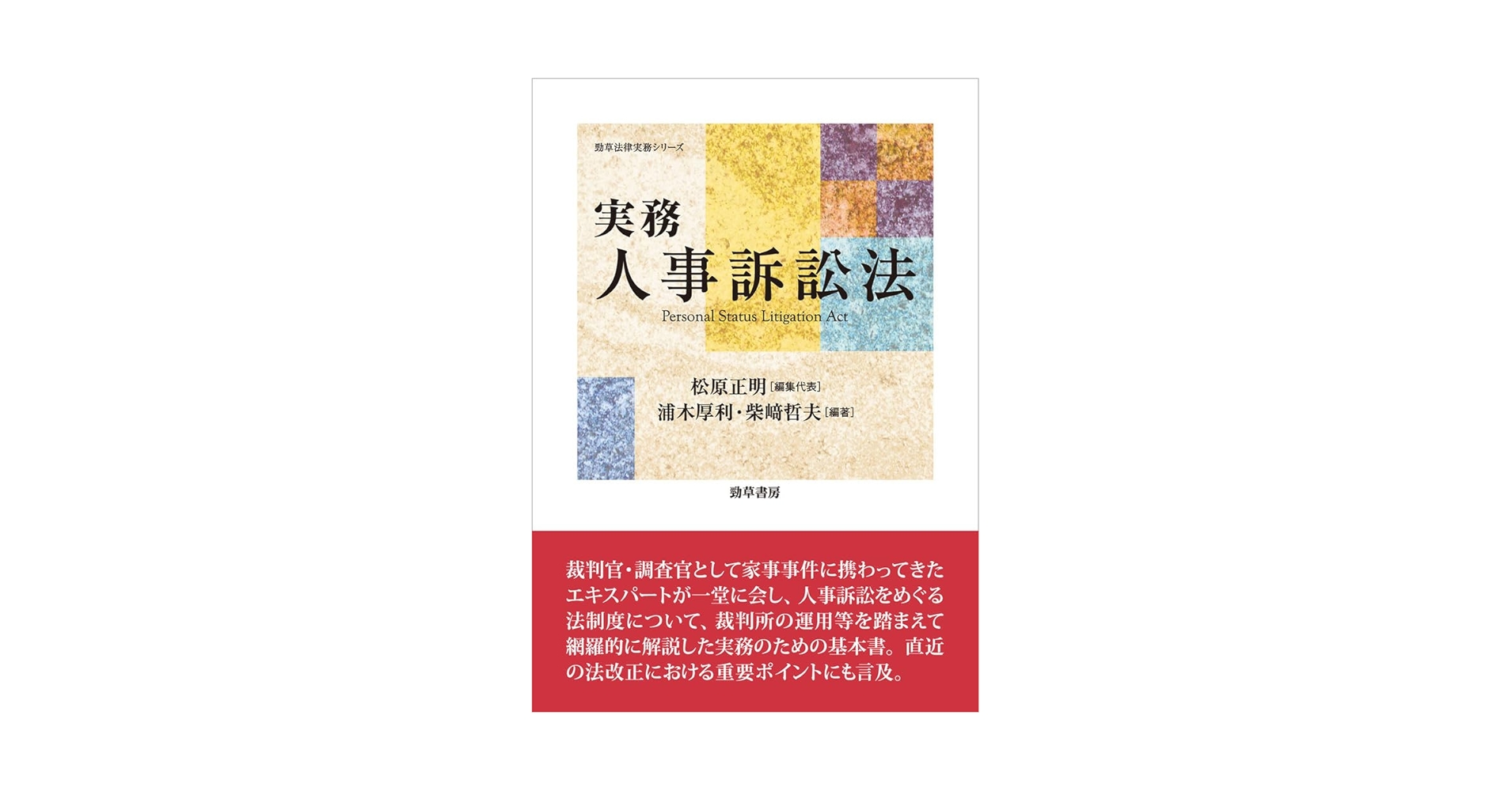 実務 人事訴訟法 (勁草法律実務シリーズ) 実務 人事訴訟法 (勁草法律実務シリーズ) | 松原 正明, 浦木
