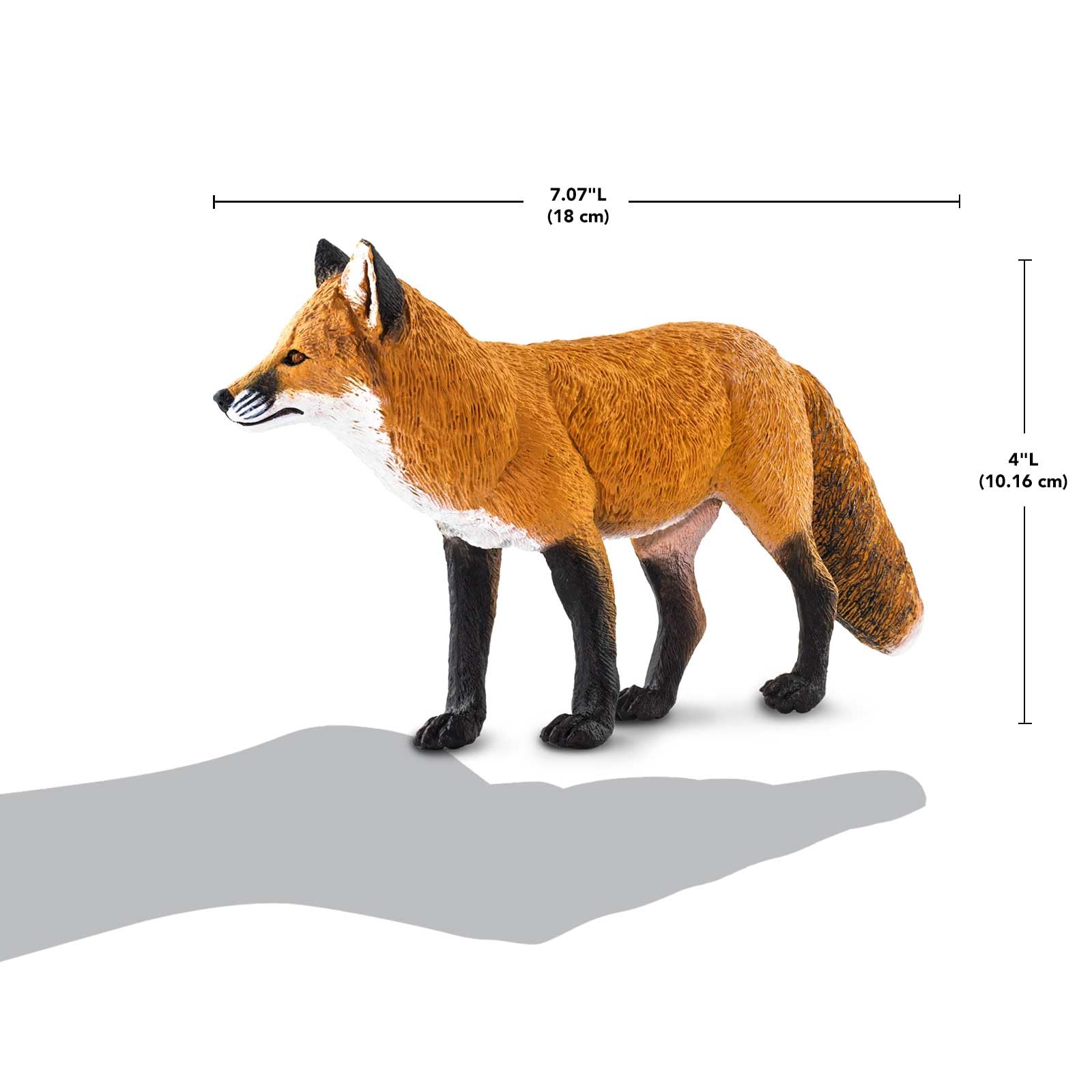 Amazon.com: Safari Ltd. Red Fox Figurine - Detailed 7 Amazon.com: Safari Ltd. Red Fox Figurine - Detailed 7
