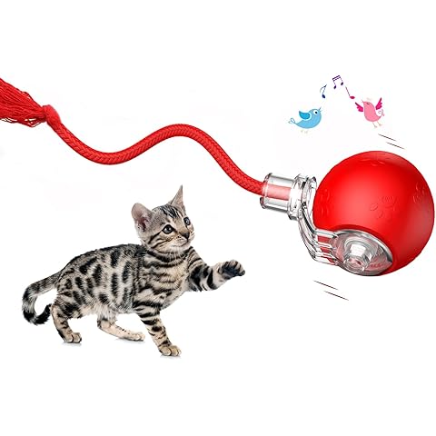 Interactive Cat Toys, Automatic Moving Cat Toys for Bored Indoor Adult Cats, Fast R...