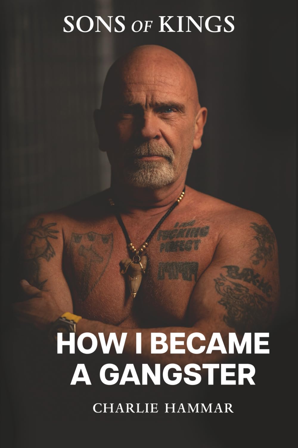 How I became a Gangster: A True Crime Memoir from Europe’s Criminal Underworld (Sons of Kings: The Gangster Series)