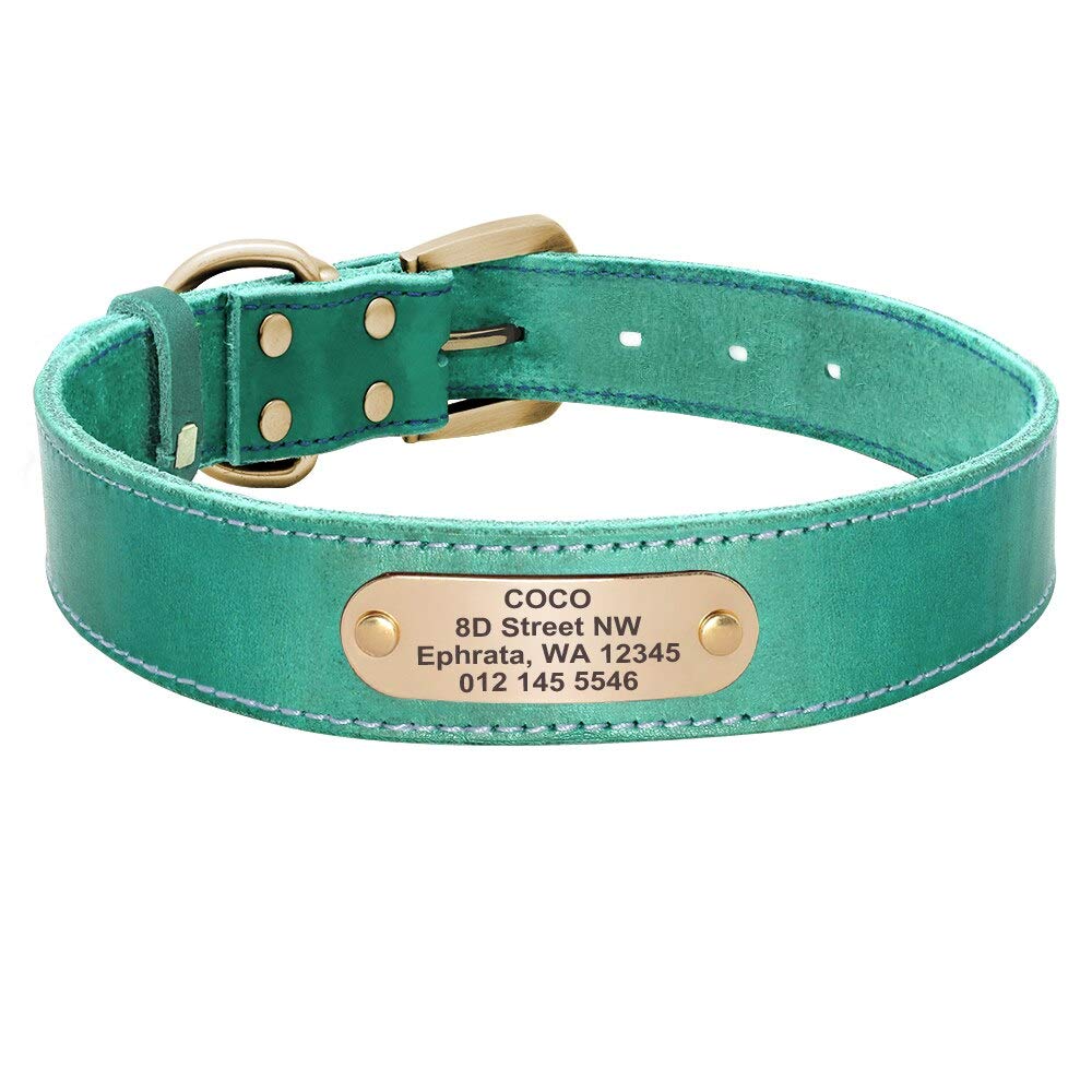 Collier personnalisé en cuir contre les fuites pour grand chien vert XL