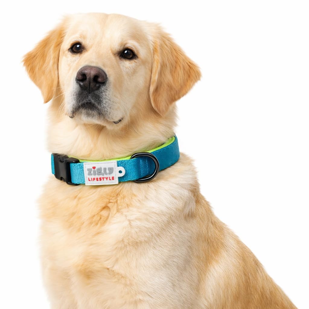 Zigly Lifestyle Classic Padded Dog Collar for Large Dogs | Adjustable Soft Padded Neck Collar for Everyday Walks, Training & Outdoor Use | Comfortable Durable Dog Collar | Neon Green | Large | 25mm-image-12