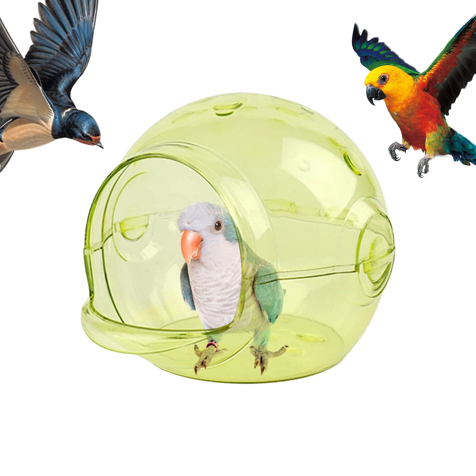 Nid pour Perroquets avec fenêtre d'observation pour observer les nichées en famille