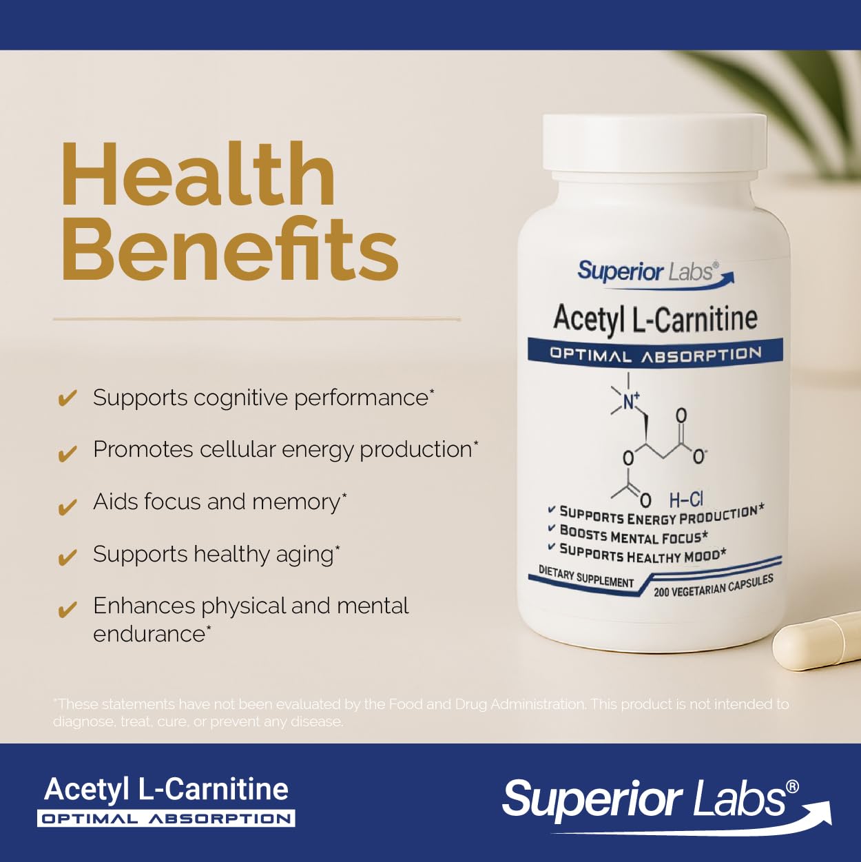 superior labs acetyl l carnitine Raw Acetyl-L-Carnitine Acetyl-L-Carnitine | Douglas Labs