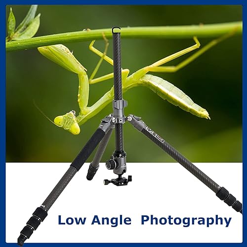 Miniatura 6 de FotoPro Sherpa Plus - Trípodemonopie de fibra de carbono de 4 secciones con cabeza de bola FPH-52QS, color negro