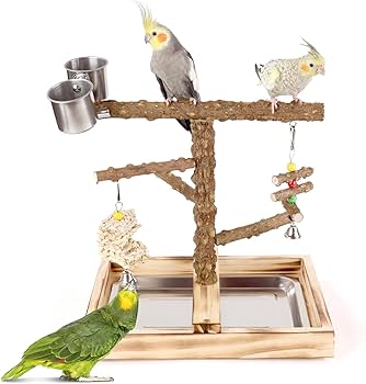 Amazon | 鳥遊び場 インコ 遊び場 鳥 おもちゃ 天然木 オウム