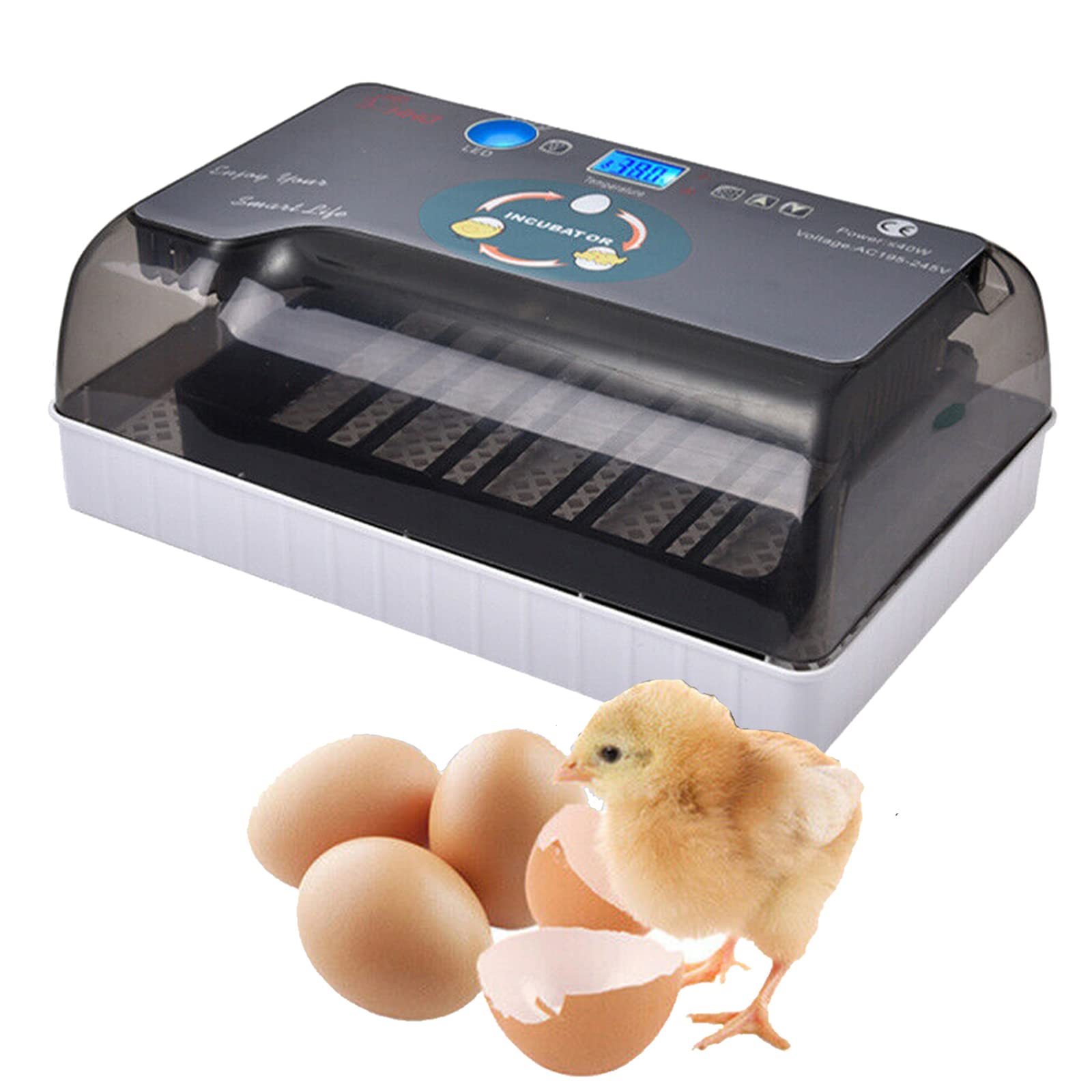Incubatrice automatica per uova incubatrice automatica completamente automatica incubatrice incubatrice 12 uova, illuminazione a LED resistente all'umidità