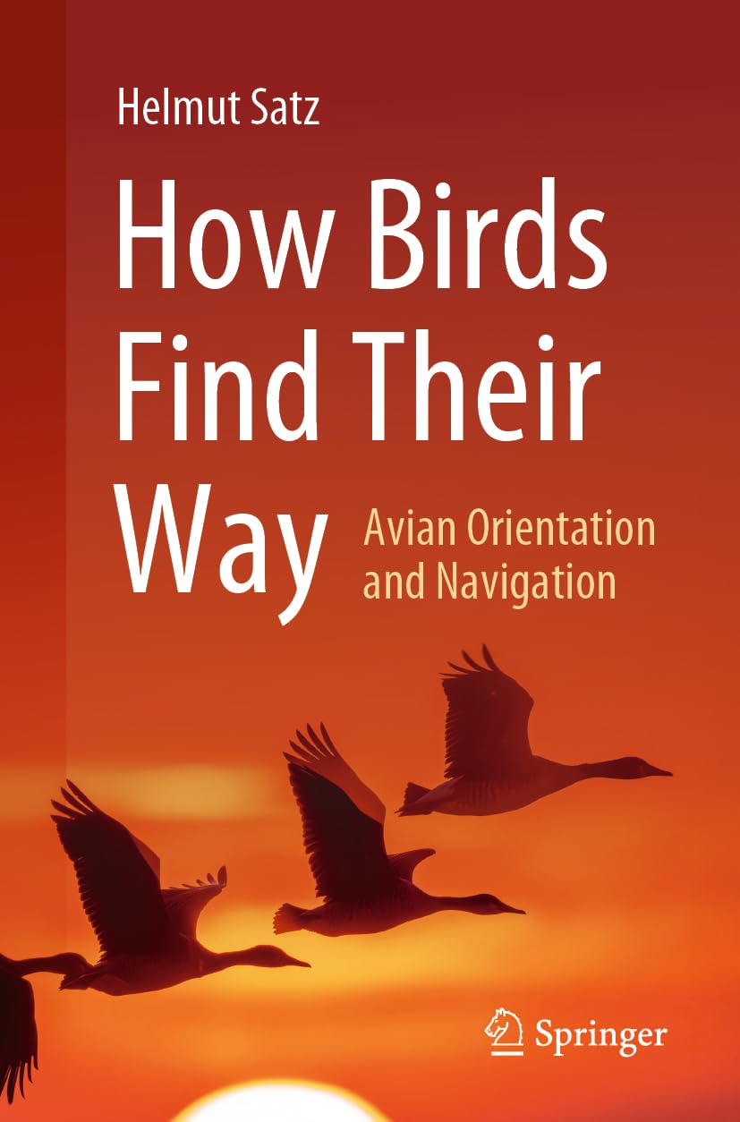 How Birds Find Their Way