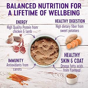   Wellness-Wet-Canned-Dog-Food-Pate-Variety-Pack-125-Ounce-Can-Pack-of-6