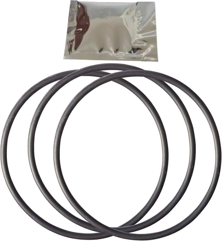 big blue water filter o ring