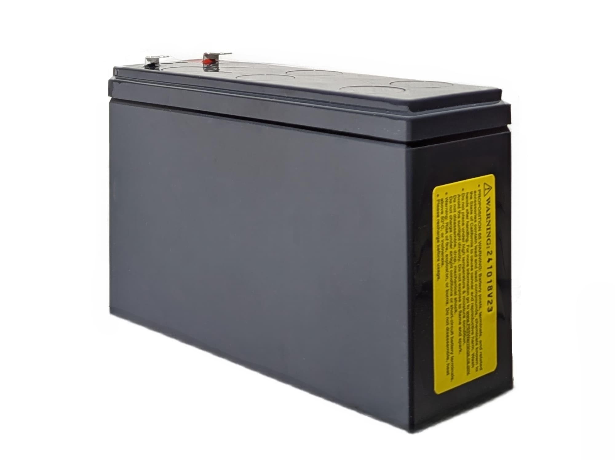 CSB HR 1224W F2F1 - Batería de plomo (12 V, 24 W, 1,67 V/15 min)