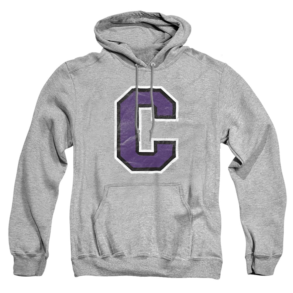 LOGOVISION Official Collegiate Distressed Primary Logo Adult Pullover Hoodie Collection — view 345