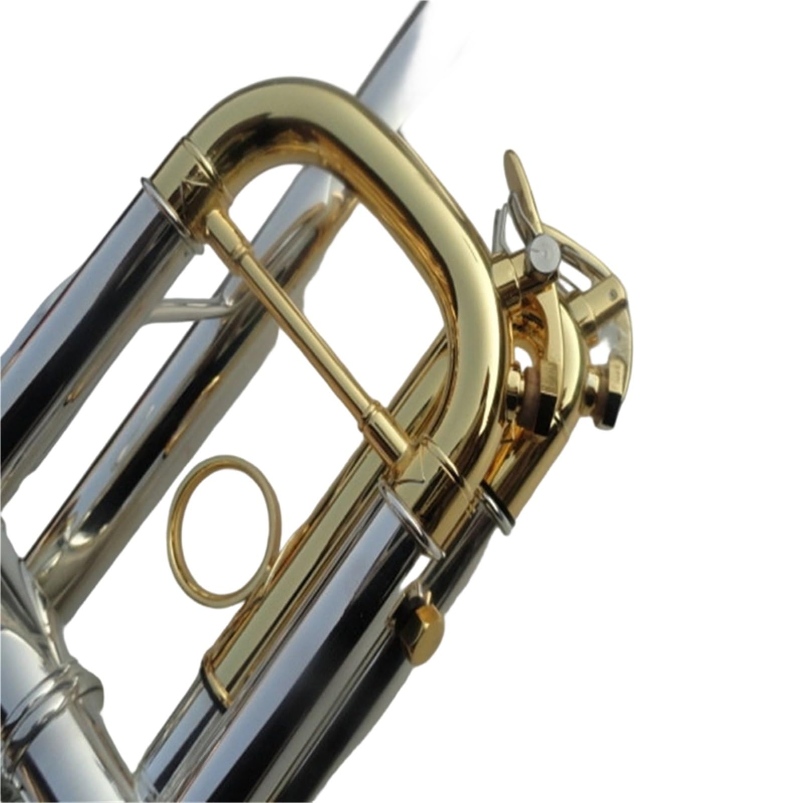 Instrument Muzyczny Trąbka Początkujący Dorośli Grający Na Instrumencie Trąbkowym C