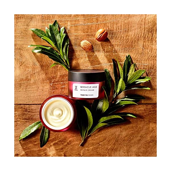 THANKYOU-FARMER-Miracle-Age-Repair-Cream-175-Fl-Oz-50ml-Korean-Skin-Care-Anti-Aging-Cream-Face-Moisturizer-For-Women-Mens-Face-Moisturizer-Anti-Wrinkle-Face-Cream-Face-Cream THANKYOU FARMER Miracle Age Repair Cream 1.75 Fl Oz (50ml) - Korean Skin Care, Anti Aging Cream, Face Moisturizer For Women, Mens Face Moisturizer, Anti Wrinkle Face Cream, Face Cream