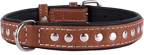 Miniatura 7 de CollarDirect Collar de piel con tachuelas para perros, pequeños, medianos, grandes, suaves, acolchados, color marrón y negro (marrón, cuello de 20 a