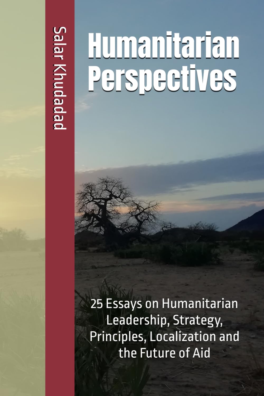 Humanitarian Perspectives: 25 Essays on Humanitarian Leadership, Strategy, Principles, Localization and the Future of Aid