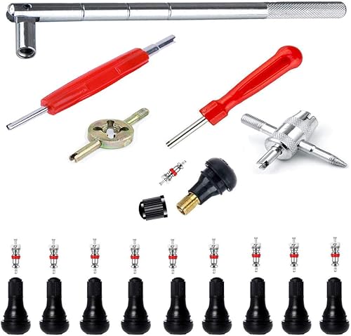 Juego de 25 herramientas extractoras de vástago de válvula de neumático, 10 vástagos de válvula TR412 a presión con 10 núcleos de vástago de