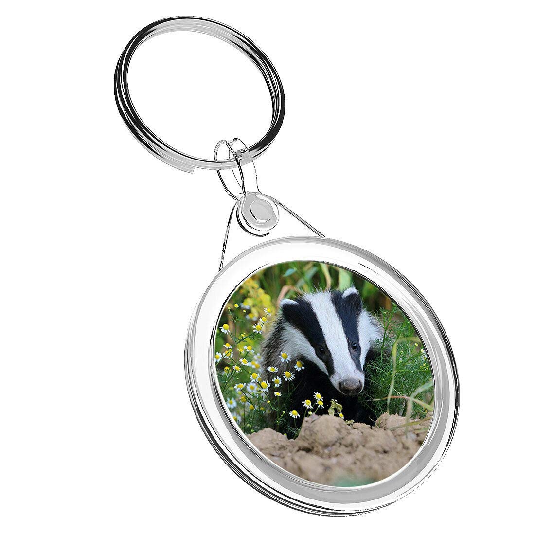 Destination Vinyl Keyrings Unisex Multi 1 X European Forest Badger Adorable - Keyring Ir02 Mum Dad Birthday #15713