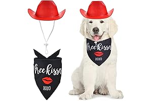 Heart-to-Tail Valentine's Day Cowboy Costume for Dogs & Cats