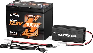 LiTime 12V 100Ah Group 24 Bluetooth LiFePO4 Battery and 14.6V 20A Lithium Battery Charger with Anderson Connector