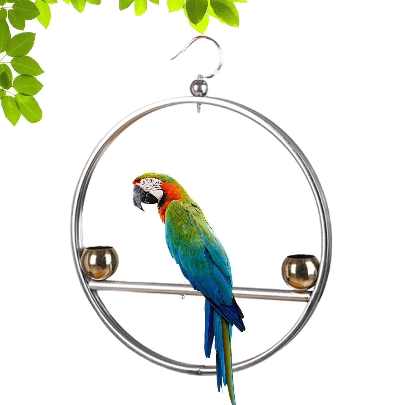 Supporto per uccelli in acciaio inox, altalena rotonda per pappagalli, supporto per pappagallo, supporto per altalena, design a doppia nappa, antiruggine, con gancio, per animali