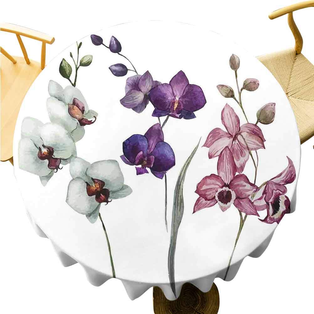 Zara Henry Watercolor Flower Stretch Tablecloth Different Kind of Orchid Flower on Clear Background Exotic Blossoms Art Wild Round Tablecloth 50 Inch Round White Pink Violet