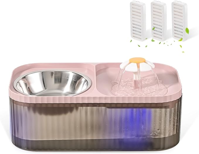Cat Water Fountain and Food Bowl