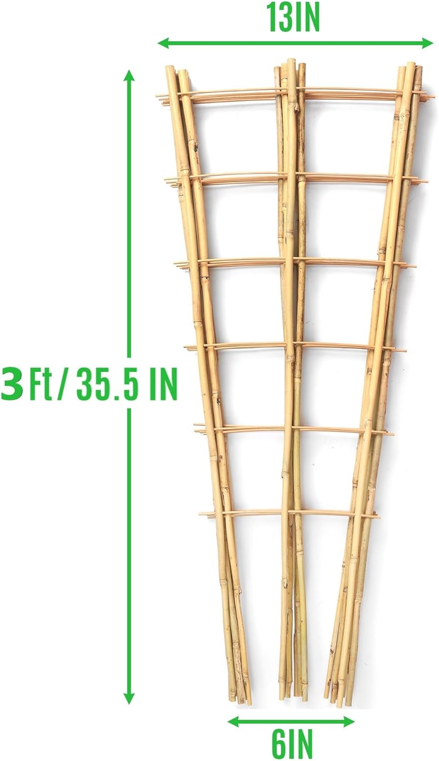 SWANGSA 5 Pack 3Ft Bamboo Trellis for Climbing Plants Support, Fan-Shaped Ladder Trellis for Outdoor and Indoor Potted Plants Cucumber Garden Stakes
