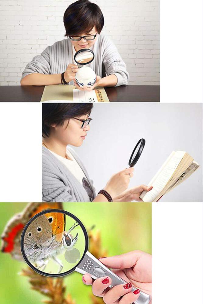 Lupa de Mano con luz LED, Lente acrílica 3X 6X, Ayuda de Lectura portátil e iluminada, Ideal para Leer Libros, periódicos, observar Insectos y Otras aficiones (Plateada).