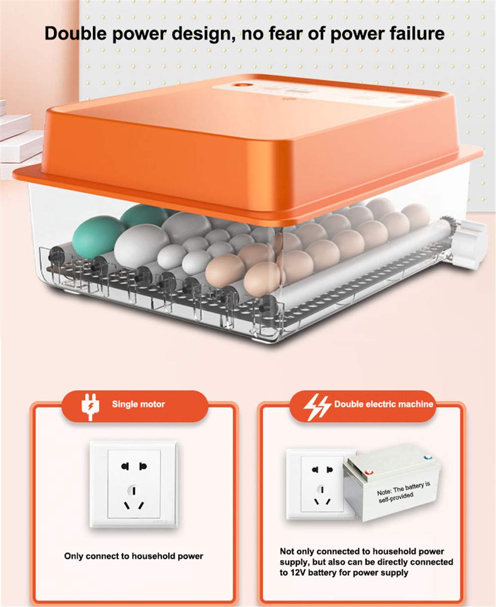 Mini incubatrice per Uova, schiusa Automatica Digitale con Controllo della Temperatura, Display a LED per Macchina per schiusa di pollame Completamente Automatica Digitale da 30-36 Uova