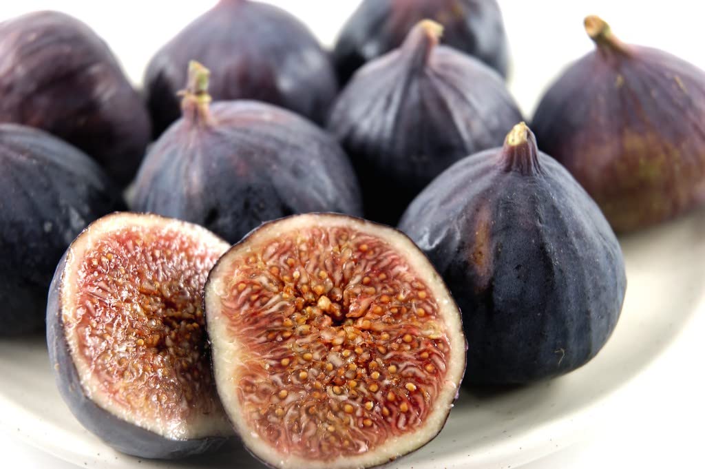 Fig Trees 'Brown Turkey' in Pots Self-Fertile Ficus carica Common Fig Patio Fruit Tree Hardy Shrub Easy to Grow Your Own Outdoor Garden Fruit Trees 2X 4.5-Litre Potted Plants by Suttons