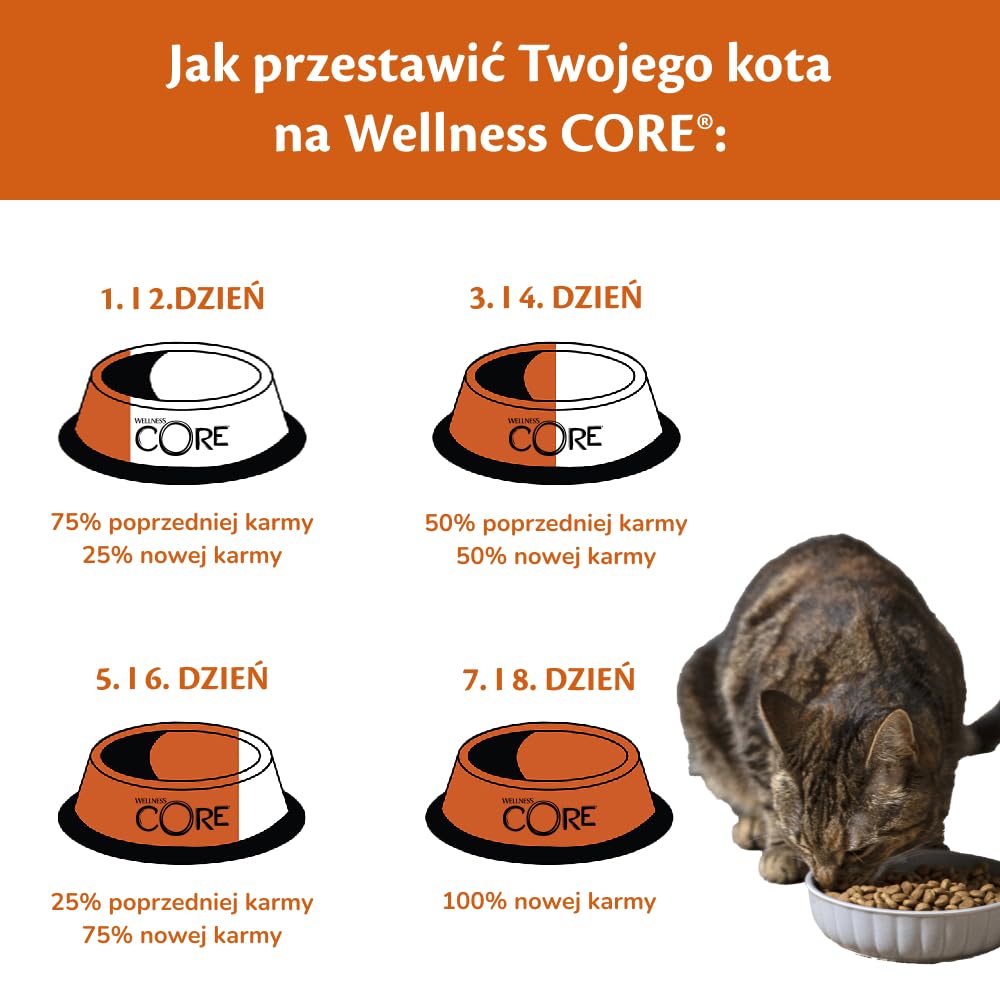 Wellness CORE Sterilised Ocean 4 kg, Łosoś – Sucha Karma dla Kotów Sterylizowanych, Bezzbożowa, Naturalna, Hipoalergiczna, Bogata w Białko, o Wysokiej Zawartości Ryb, Zdrowa Skóra i Lśniąca Sierść