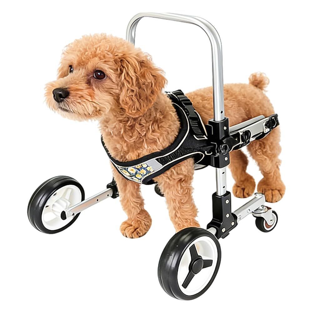 Dog Wheelchair 4 Wheels for Front Legs, Adjustable, Lightweight Aluminum