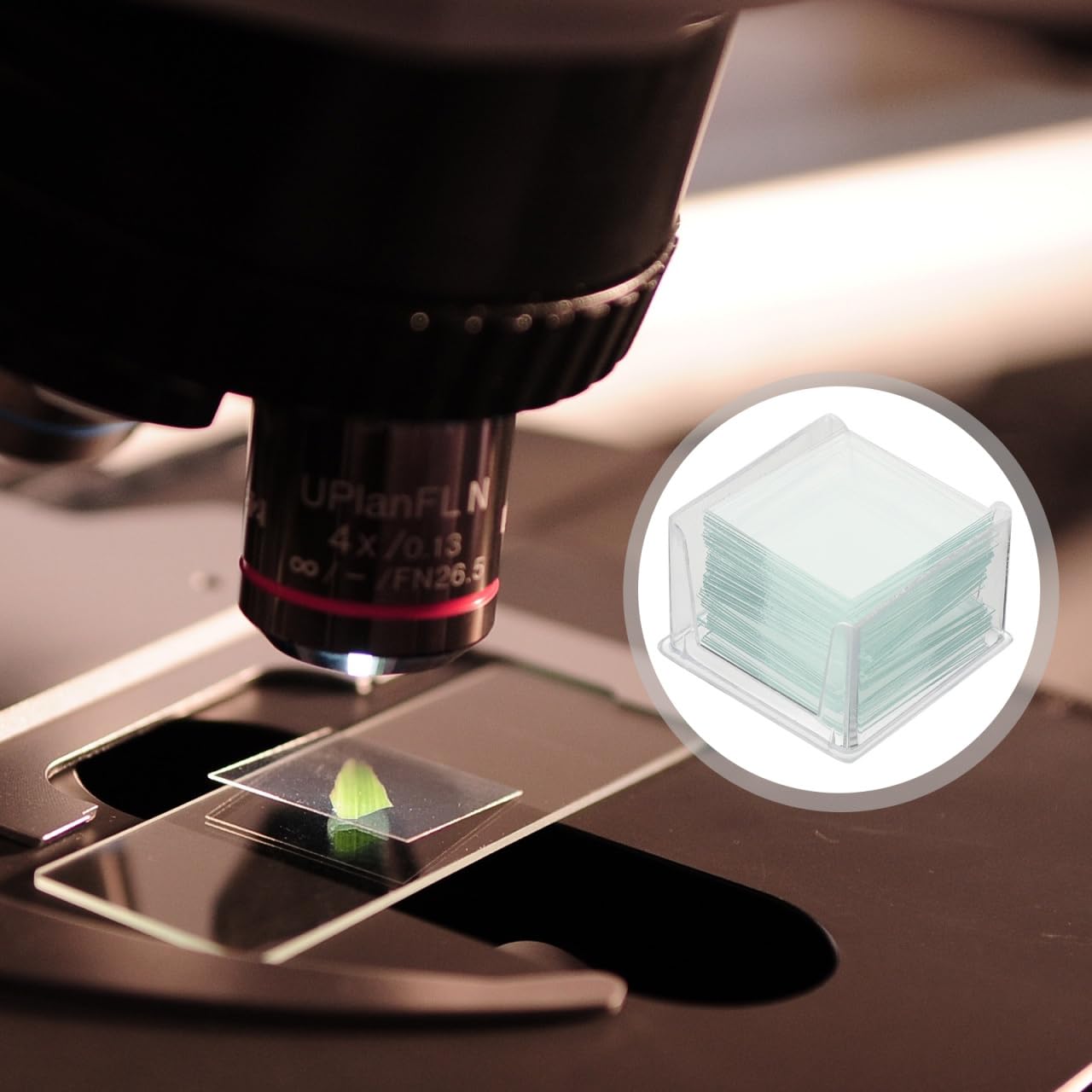 Gatuida 1000 Stück Deckgläser Mikroskop, deckgläser 22x22 Lehrmaterialien Mikroskop-Objektträger Zubehör für Labor Optische Mikroskopie Und Biologie Wissenschaft Studium