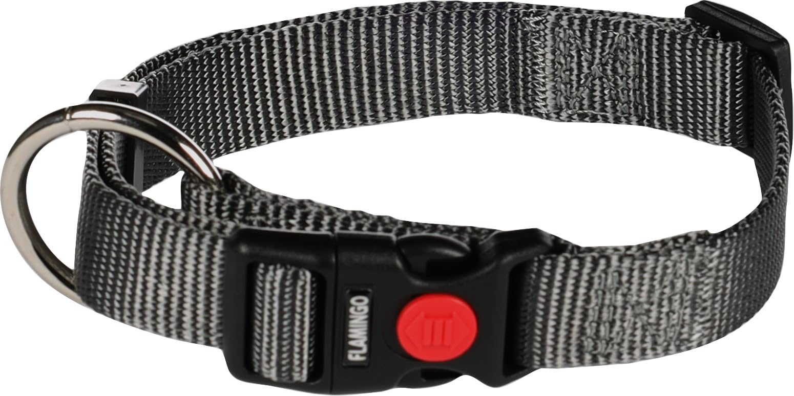 Dog Collar Ziggi Dark grey M 40-55cm 20mm