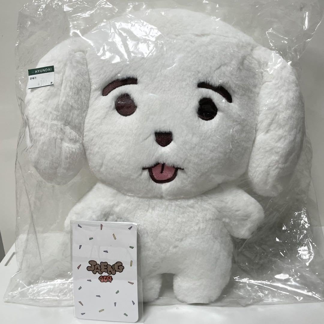 SF9 ジェユン JAENG109 POPUP グッズ SF9 ジェユン JAENG109 ジェンベック アクリルキーリング トレカ