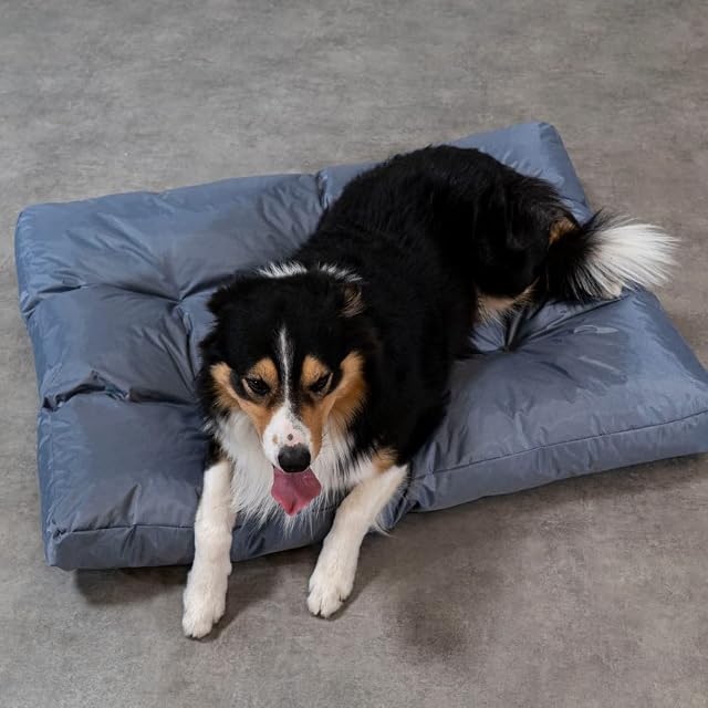 Foto 2 de 6 de bananair - Cama Perro Suave y Confortable - Tela Repelente al Agua y Relleno de Espuma Muy Cómodo