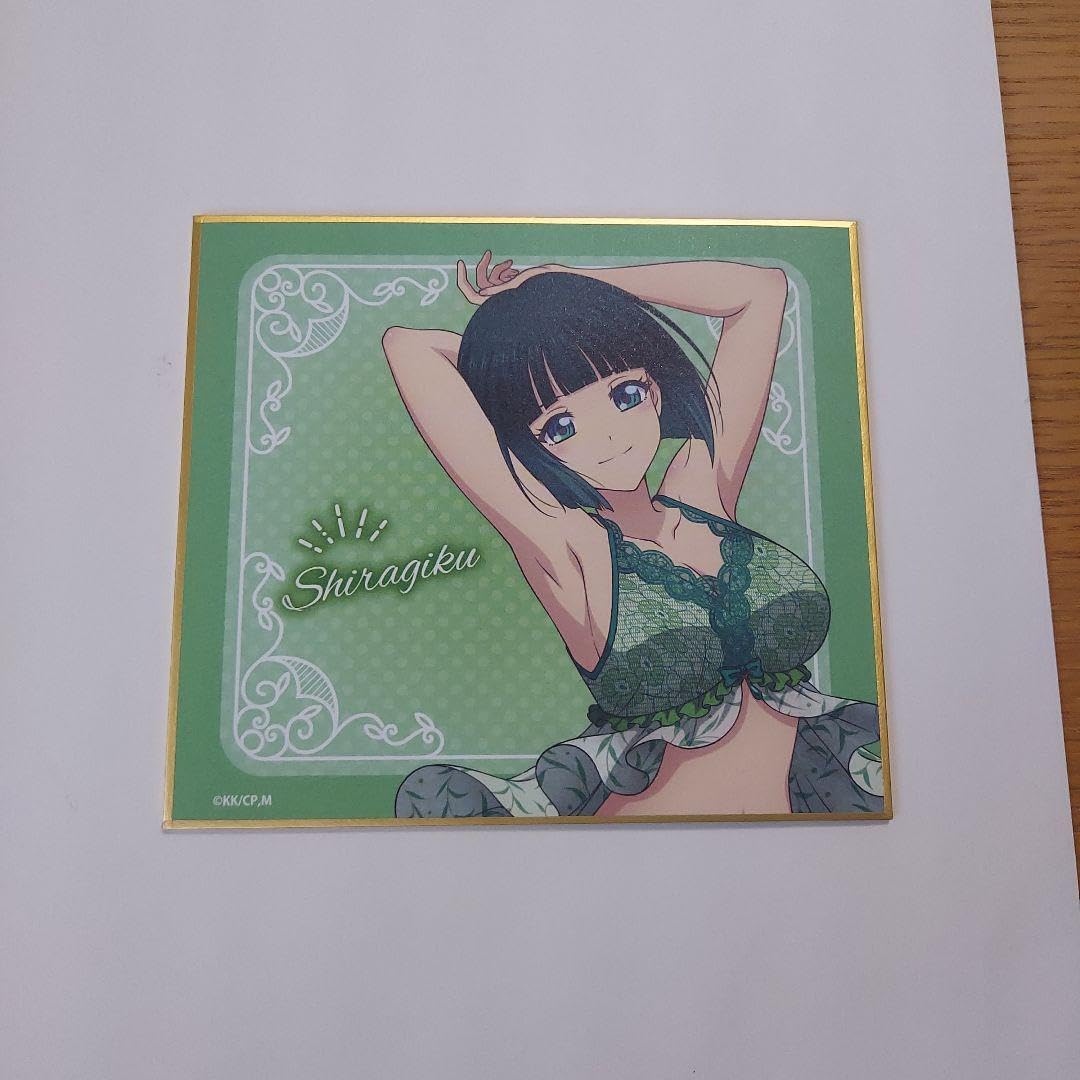 Mini-z EVO ジャイロ シャーシ2台 プロポボディ無し 京商 dNaNo 一式