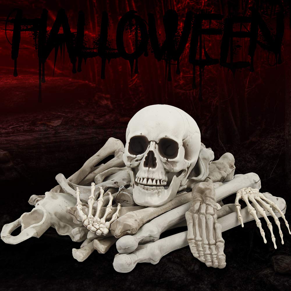 Amazon.co.jp: Lovesole ハロウィン 骸骨 飾り 怖い ドクロ スケルトン