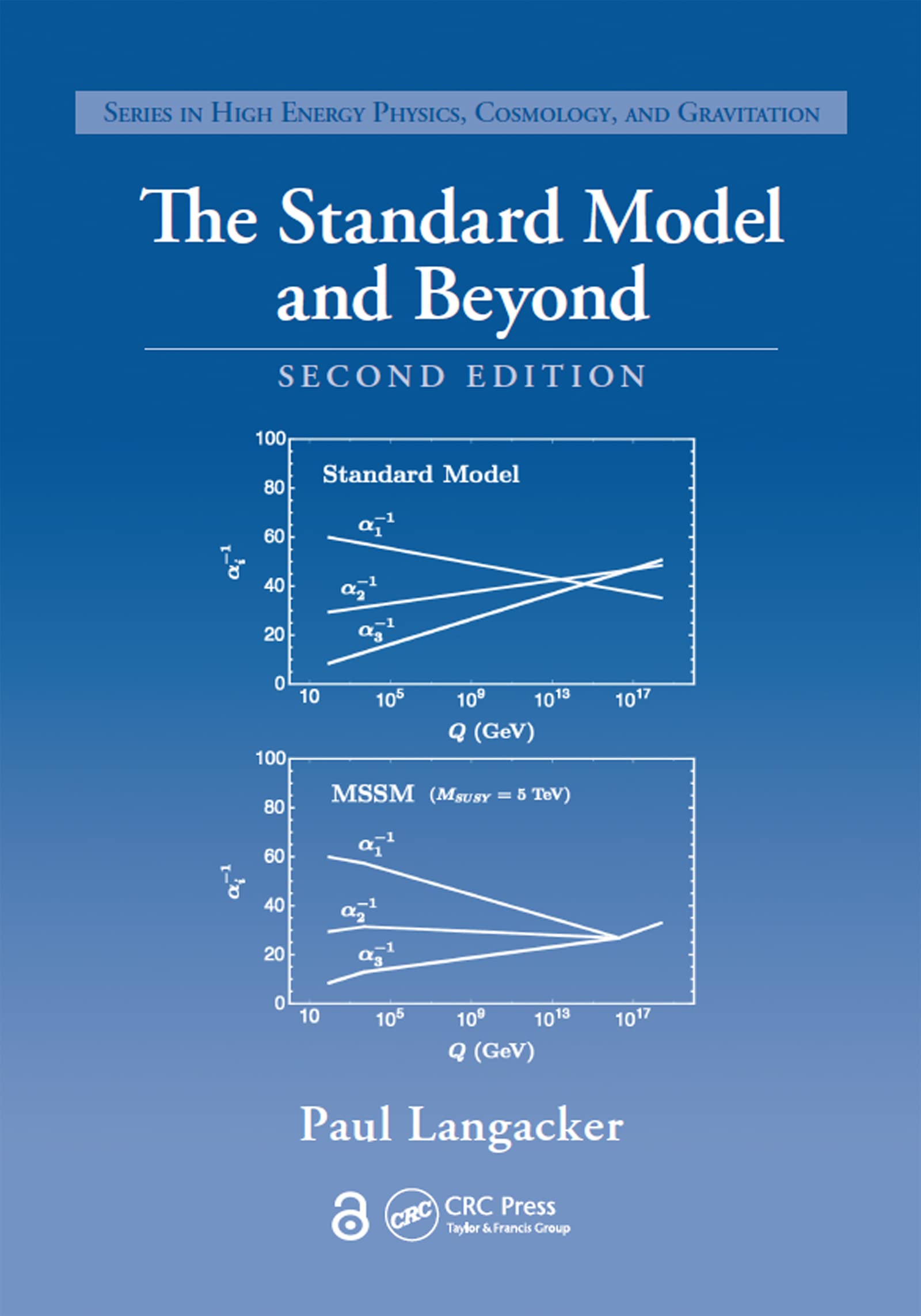 Buy The Standard Model and Beyond — BookShops.in