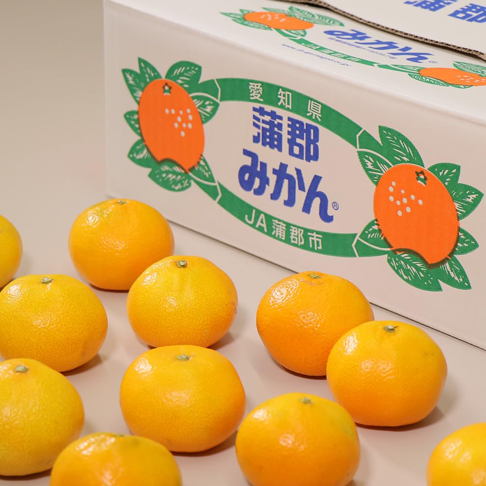 Amazon.co.jp: [予約1/6以降発送] 蒲郡みかん 愛知県蒲郡産 5kg 30-40