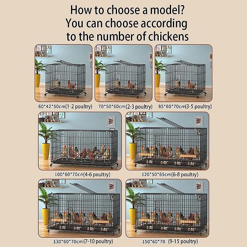 Amazon | 鶏用大型ペットケージ 鶏かご 7-10鶏のためのトレイと卵